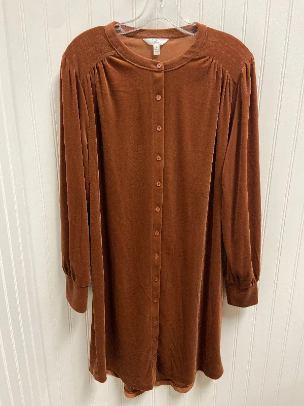 Tunic Long Sleeve By Time And Tru In Rust, Size: Xl